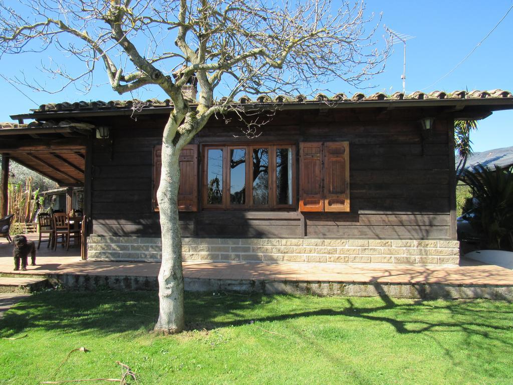 The Lake Chalet Bracciano  Extérieur photo
